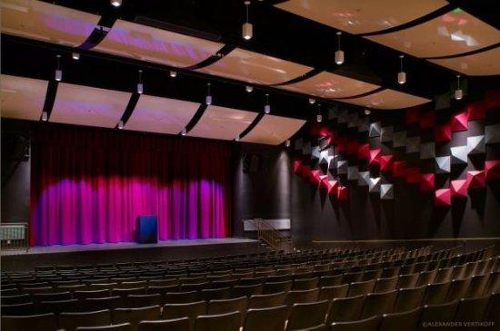 African American Performing Arts Center